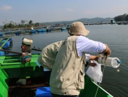 Resep KKP Antisipasi Potensi Penyebaran Penyakit pada Usaha Budidaya Ikan 