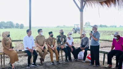 Dorong Produksi Gula Meningkat, Pemerintah Siapkan Lahan Seluas 700 Ribu Ha