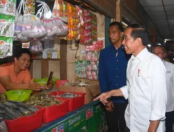 Cek Harga dan Persediaan, Presiden Jokowi Tinjau Pasar