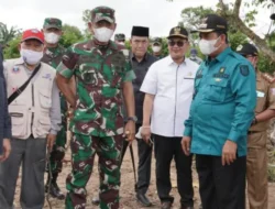 Pangdam II/SWJ Dan Bupati Banyuasin Tinjau Optimalisasi Sawah di Rantau Bayur