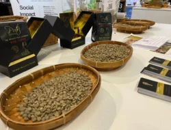 SCA di Boston Convention and Exhibition Center, AS Jadi Ajang Promo 24 Pelaku Kopi Spesialti Indonesia