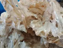 10 ikan asin yang bikin ngiler & nafsu makan, Berikut Selain Populer di Indonesia Ada Negara Lain yang Suka Makanan Tradisional Ini