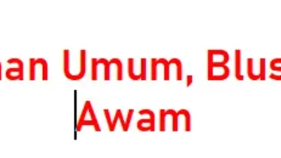 Blusukan masih jadi senjata politikus, ini yang harus dipahami pemilih awam !