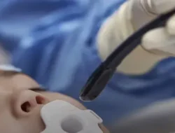 Transduser ultrasonik Philips Mini TEE yang baru bantu tingkatkan perawatan jantung bagi lebih banyak pasien