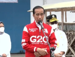 Tambah Devisa Negara, Pinang Biji Bisa Jadi Komoditas Ekspor Unggulan