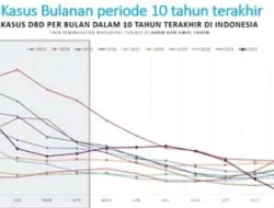 Wow ngeri, nyamuk dengue bakal makin ganas, apa alasannya !, berikut imbauan Kemkes