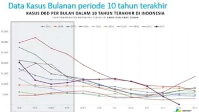 Wow ngeri, nyamuk dengue bakal makin ganas, apa alasannya !, berikut imbauan Kemkes