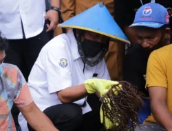 Terkait Masalah Ini, Menteri KKP Minta Anak Buahnya Adakan Pendampingan untuk Petani di Jailolo