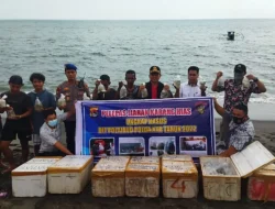 Jeli..,Kolaborasi KKP & Ditpolairud Polda NTB Sikat Penyeludup Karang Hias, Ini Kronologinya..