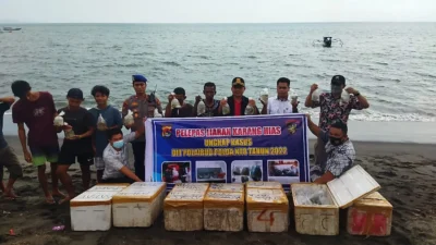 Jeli..,Kolaborasi KKP & Ditpolairud Polda NTB Sikat Penyeludup Karang Hias, Ini Kronologinya..