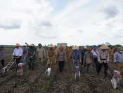 Dukung Ketahanan Pangan, Pemkab Banyuasin Bersama Kodim 0430/BA Lakukan Penanaman Jagung