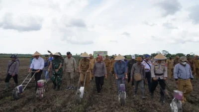 Dukung Ketahanan Pangan, Pemkab Banyuasin Bersama Kodim 0430/BA Lakukan Penanaman Jagung