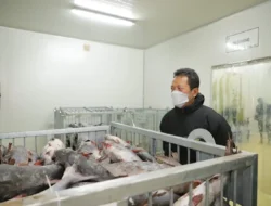 Resmikan Cold Storage 300 Ton, Menteri KKP Targetkan Indramayu Jadi Sentra Perikanan