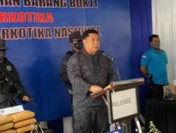 Diringkus di 8 Wilayah Ini, BNN Ungkap 85 Jaringan Narkoba Beroperasi di RI
