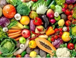Ini 3 Makanan Untuk Pengidap Rematik Yang Baik Dikonsumsi, Apa Saja ?