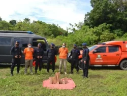 Musnahkan 11 Bom Lontong Milik DPO Teroris Poso, Begini Penjelasan Polda Sulteng
