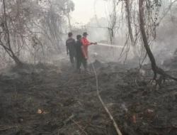 Plototin Karhutla, 30 CCTV Dipasang Polda Jambi