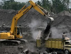 Wajar Anggota Komisi VI DPR Ini Dukung Soal PETI di Kabupaten Ini Ditertibkan Polri & KLHK, Simak !