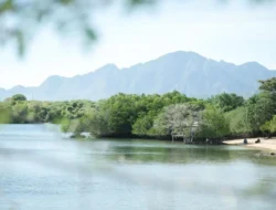 Carbon Footprint di Bali wujudkan pariwisata berkelanjutan & berkualitas