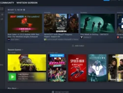 Cara Bermain Game Offline dengan Rog Ally
