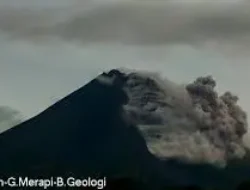 Merapi Kembali Luncurkan 15 Kali Guguran Lava Pijar, BPPTKG Pertahankan Status Level III