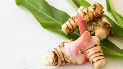 Lengkuas: Rempah Ajaib dengan Segudang Manfaat Kesehatan