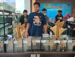 Dari Iklan Hias Bisa Melepas Penat Hingga Raup Untung Besar di Saat Pandemi, Mau Coba !!