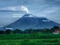 Merapi 5 X Luncurkan Guguran Lava Pijar Sejauh 1,8 Km, BPPTKG Pertahankan Status level III