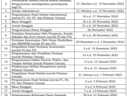 Ente Berminat ! Ada Lowongan PPPK Tenaga Guru Resmi Dibuka Pemerintah