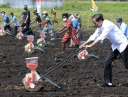Bersama Petani, Ikut Dorong Alat Tanam Jagung Di Areal Pertanian Sorong, Nggak Lupa Ajak Petani Milenial Ikut Dilatih, Begini Alasan Presiden Joko Widodo