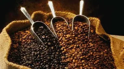 Kopi dan Sejarahnya di Sumsel