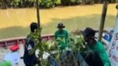 Perusahaan Singapura Gandeng LindungiHutan lakukan Penghijauan di Indonesia