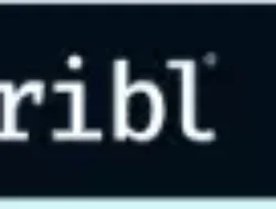 Cribl Joins Wiz Integration Program to Strengthen Security Posture with Data-Driven Insights