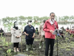 Komit dengan Paris 2021 Agreement & Perubahan Iklim Dunia, RI Bakal Rehabilitasi Hutan Mangrove di Seluruh Tanah Air, Begini Asa Presiden Joko Widodo
