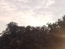 Kata-kata  mutiara selamat pagi hari senin