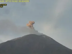 Aktivitas Vulkanik Gunung Api Ile Lewotolok Masih Meningkat, BPBD Kabupaten Lembata Diminta Tenang & Waspada, Begini Imbaunya