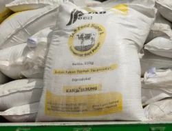 50 Ton Pakan Ternak Sapi Hasil Produksi KAN Jabung Syariah Tiba di Brunei, Begini Asanya Dubes RI