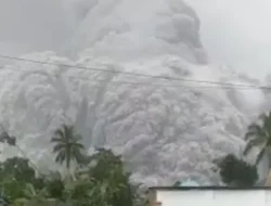 Keluarkan Awan Panas, Jarak Luncur Lava Pijar Gunung Semeru Kurang Lebih 500-800 Meter, BPBD Lumajang Imbau Masyarakat & Penambang Tidak Beraktivitas di DAS Mujur dan Curah Kobokan