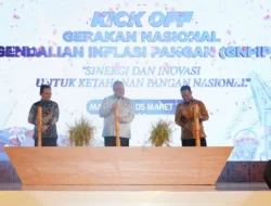 Hadapi tantangan pengendalian inflasi multidimensi, Ini 7 program unggulan GNPIP Kata BI