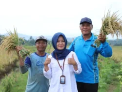 Kisah Jerih Payah Srikandi Penyuluh Perikanan