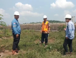 Sulap lahan eks tambang jadi lahan hijau, hasilnya ?