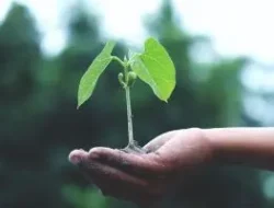 Diakui sebagai Juara EPEAT Climate+,ASUS komit penuhi standar industri tertinggi seputar dekarbonisasi, tanggung jawab lingkungan, dan efisiensi energi