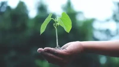 Diakui sebagai Juara EPEAT Climate+,ASUS komit penuhi standar industri tertinggi seputar dekarbonisasi, tanggung jawab lingkungan, dan efisiensi energi