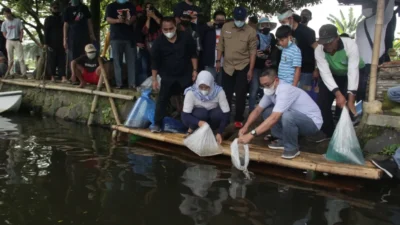 KKP & ‘TAN96UH’ Tebar 33 Ribu Ikan Situ Gede, Kampanyekan Juga Ekonomi Biru Berkelanjutan