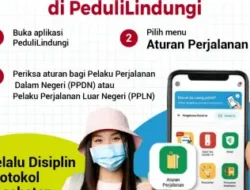 Biar Perjalanan Lancar Cek Aturan Perjalanan Terbaru di PeduliLindungi