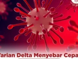 Antisipasi Varian Mu di Tanah Air, Awasi Seluruh Area Pintu Masuk di RI, Pemerintah : Jangan Sampe Alami  Gelombang III