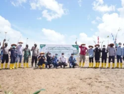 Menuju Indonesia Net Zero Emission