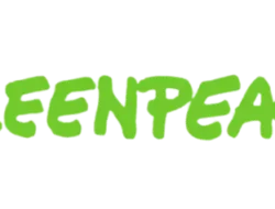 Nonton Yuk ! Ada Festival Suara Jernih Papua Persembahan Greenpeace Indonesia
