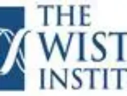 Wistar-Led Team Awarded More Than $12 Million Grant from the NCI to Investigate Link Between Epstein-Barr Virus and Carcinomas