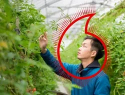 70% bisnis di Asia-Pasifik memandang keberlanjutan sebagai hal yang penting, tetapi kurang dari setengahnya mengatakan bahwa mereka berkomitmen terhadap net zero: Studi Vodafone baru